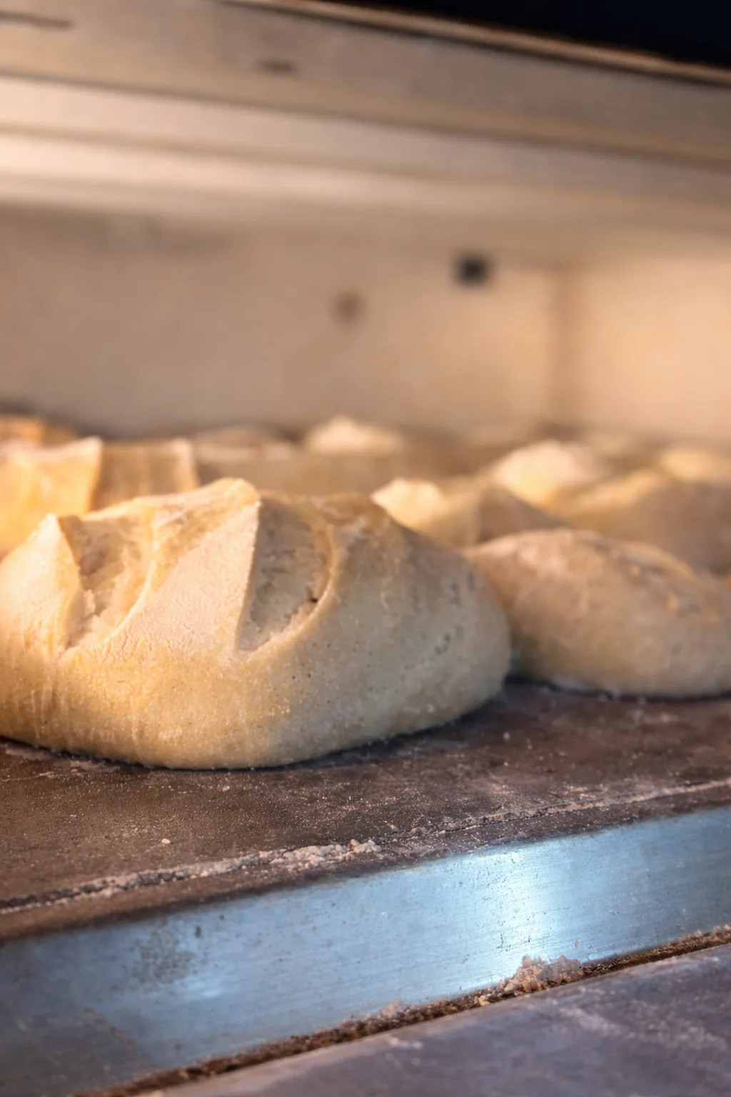 Taş fırında yükselen altın renkli ekşi mayalı ekmek somunu